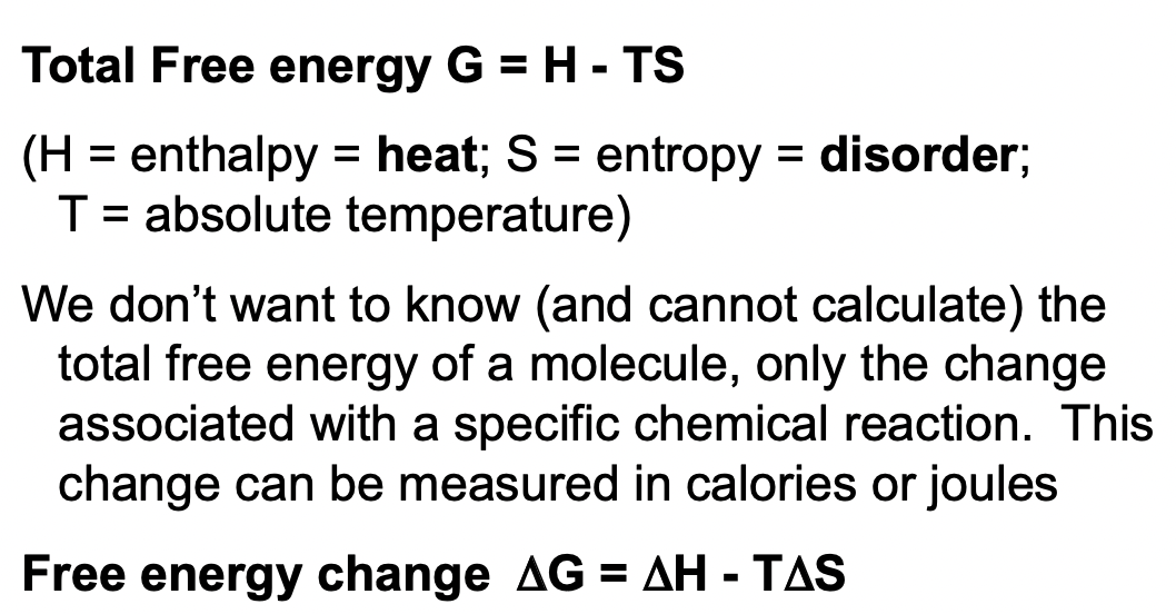 <ul><li><p>delta G: total free energy (cal or J)</p></li><li><p>delta H: enthalpy</p></li><li><p>delta S: entropy/disorder</p></li><li><p>T: absolute temperature</p></li></ul><p>If delta G is:</p><ul><li><p>Negative: energy is released (disorder created) and the reaction is favourable/spontaneous</p></li><li><p>Positive: energy is required, not spontaneous</p></li></ul>