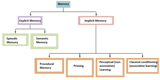 <p><em><span>Name</span></em> all subcategories of memory in the schema bellow.</p>