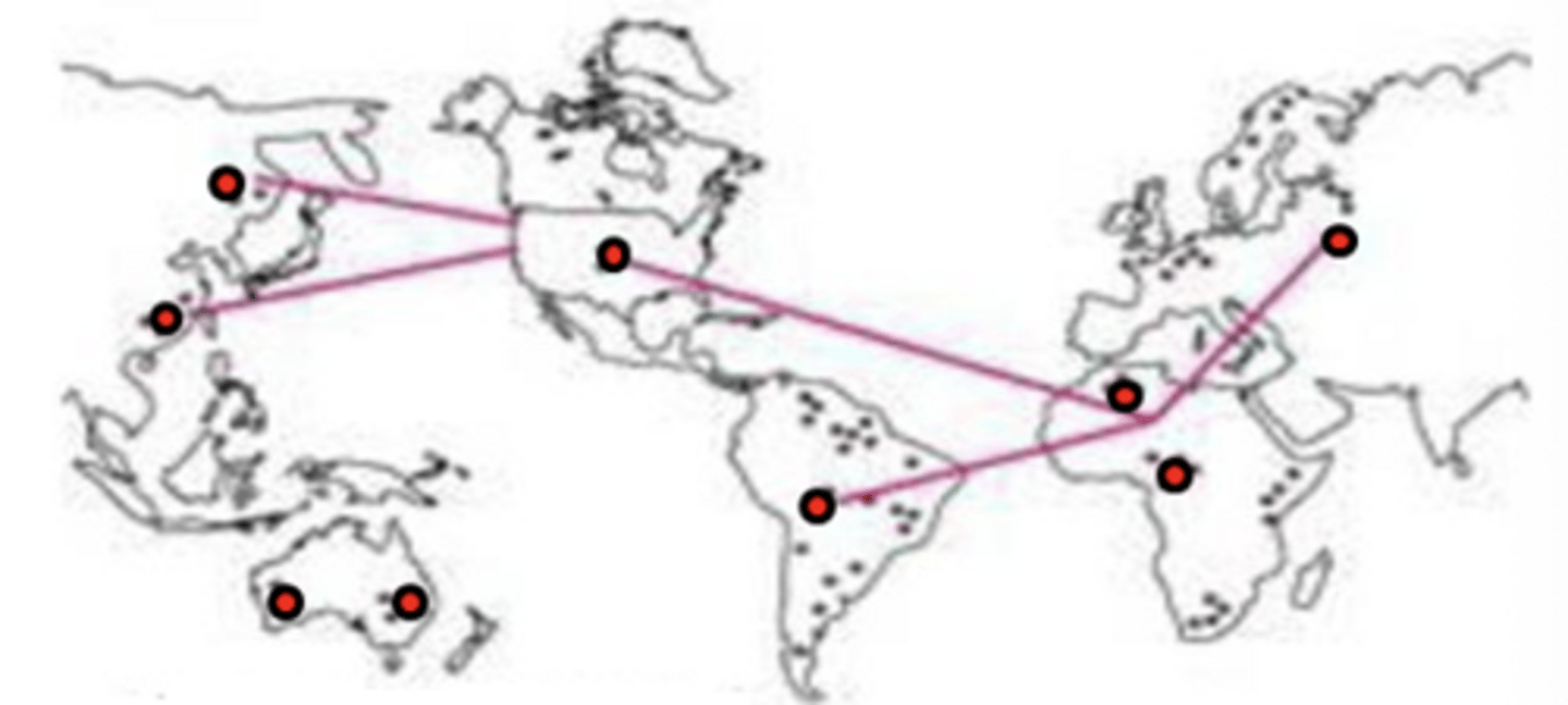 <p>global epidemic</p><p>ex: black death, Spanish flu, HIV/AIDS</p>