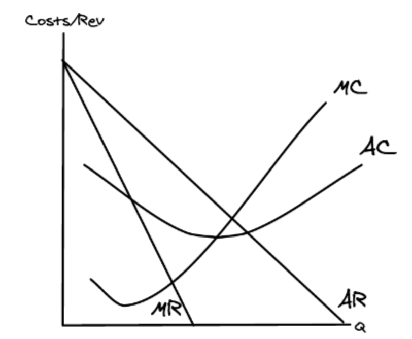 <p>costs and revenue diagram</p>