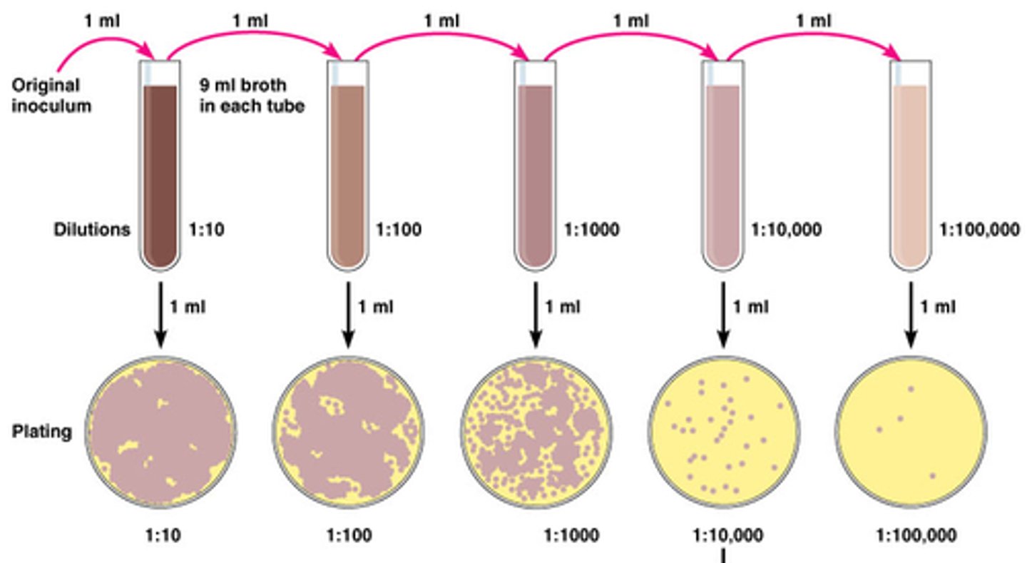 <p>Serial dilution: method of diluting a stock solution where concentration decreases by the same quantity in each successive step</p><p>Parallel dilution: done to make more than one dilution where desired concentration are unrelated to each other</p>