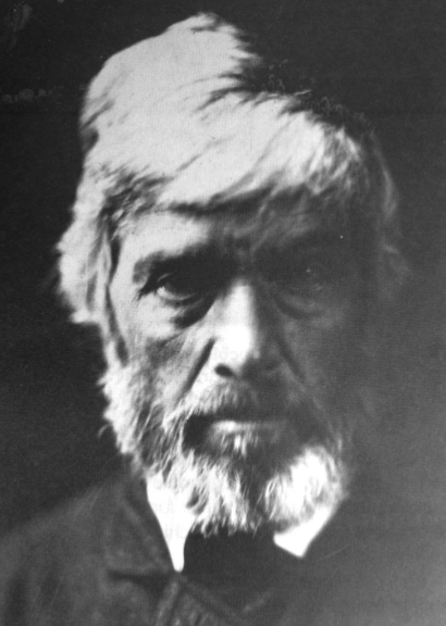 term image