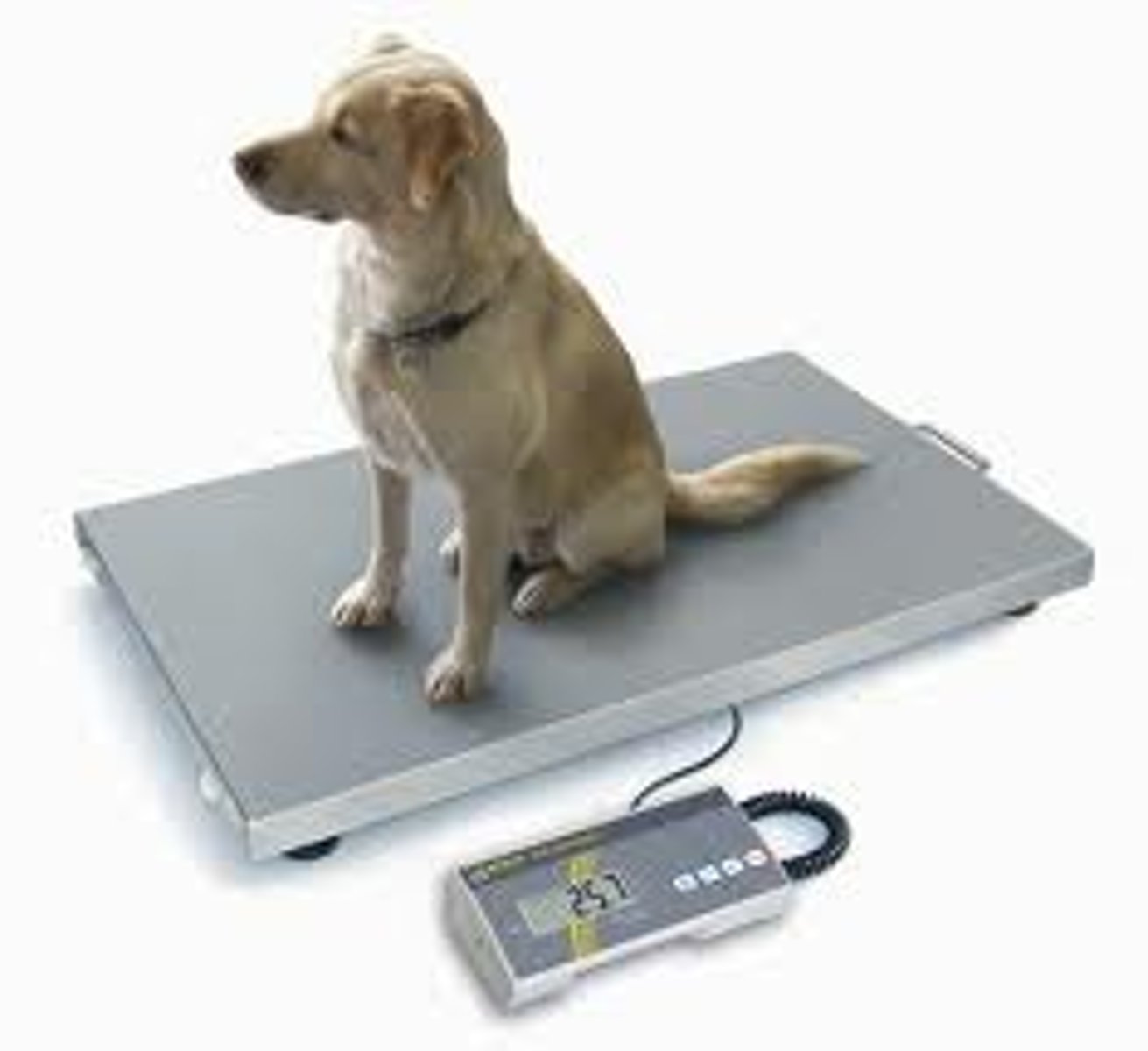 <p>to weigh</p>