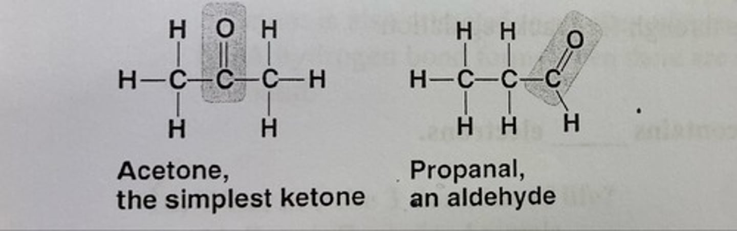 <p>structural isomer</p>