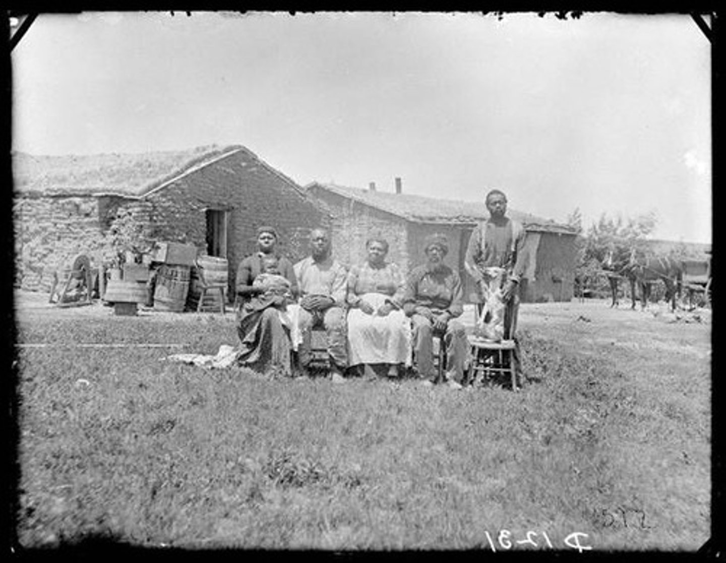 <p>sod houses made of the earth</p>