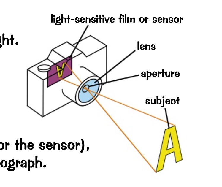 * photography 
* came uses a lens to focus visible light onto a light sensitive film or sensor
* the lens aperture controls how much light enters the camera
* the shutter speed determines how long the film or seniors is exposed to the light

  \
