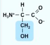 <p>S</p><p>polar</p><p></p>