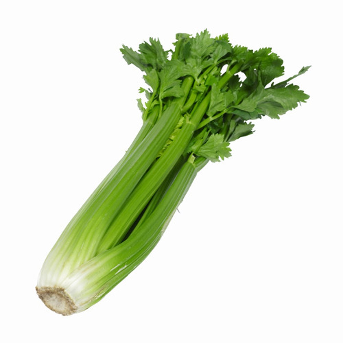 <p>qín cài</p><p>celery</p>