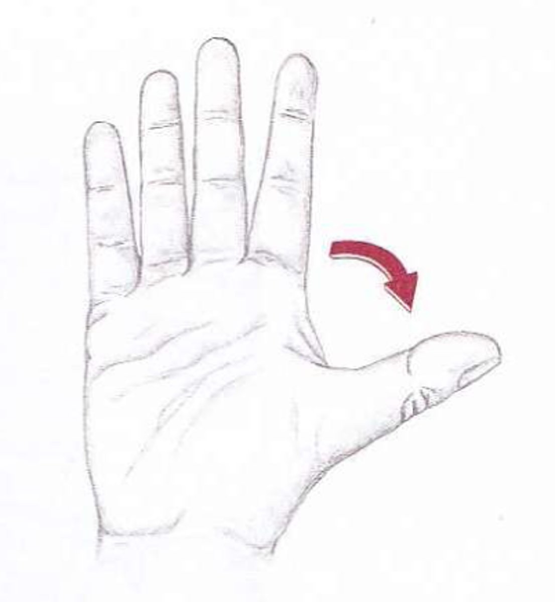 <p>большой палец руки</p>