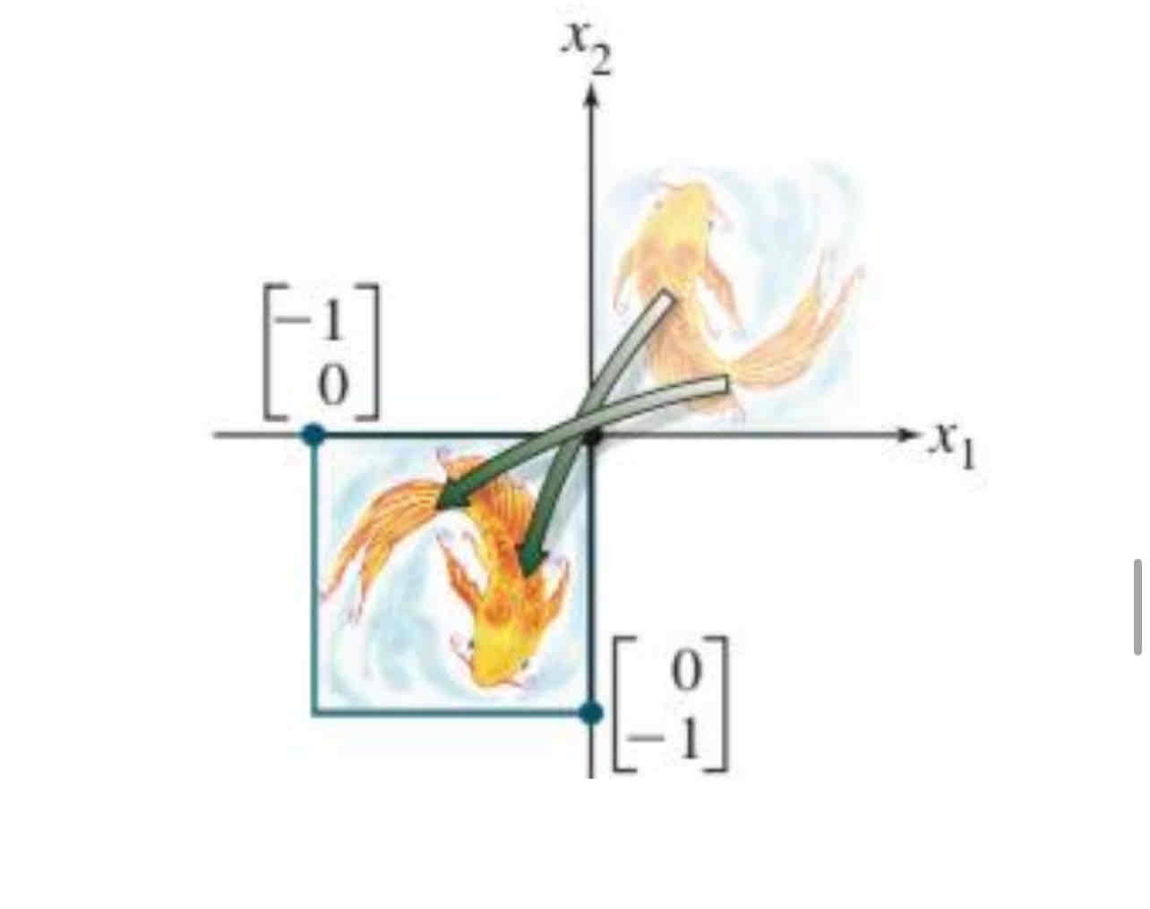 <p>Reflection through the origin </p>