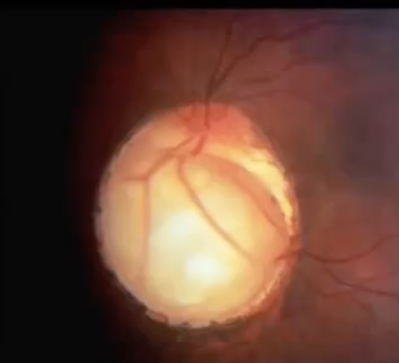 <p>what’s this</p>