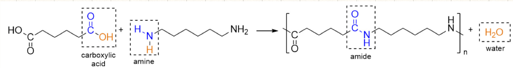 <p>amide linkage (zigzag lines)</p><p>reactants: carboxylic acid and amine</p><p>products: amide and water</p>