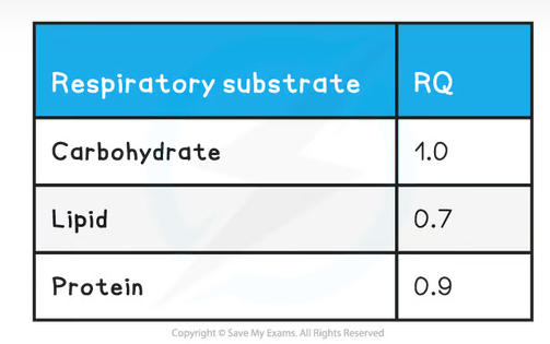 <p><strong>RQ = CO<sub>2</sub> produced / O<sub>2</sub> consumed</strong></p><p>Eg. For glucose, C<sub>6</sub>H<sub>12</sub>O<sub>6</sub> +6 O<sub>2</sub> → 6 CO<sub>2</sub>+ 6 H<sub>2</sub>O, so the RQ = 6/6 = 1.0</p>