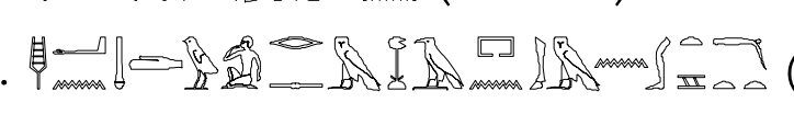 term image