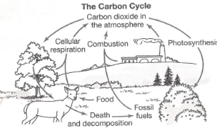 <p>(top-bottom/left-right)</p>