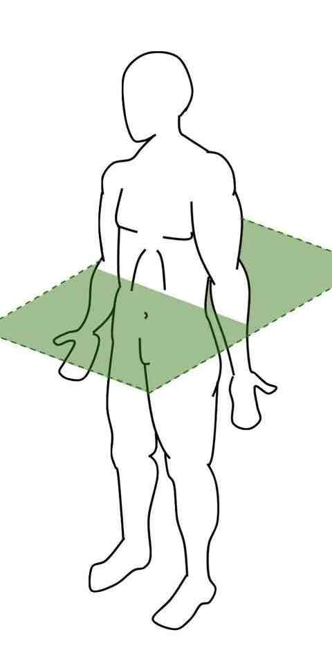 <p>Plane: divides the body into a top and bottom section</p><p>Axis: goes through the plane (head to toe)</p>