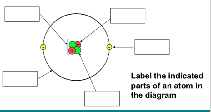 <p>Label the parts</p>
