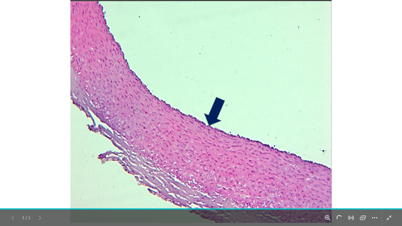 <p>identify</p><p>mention one site</p>