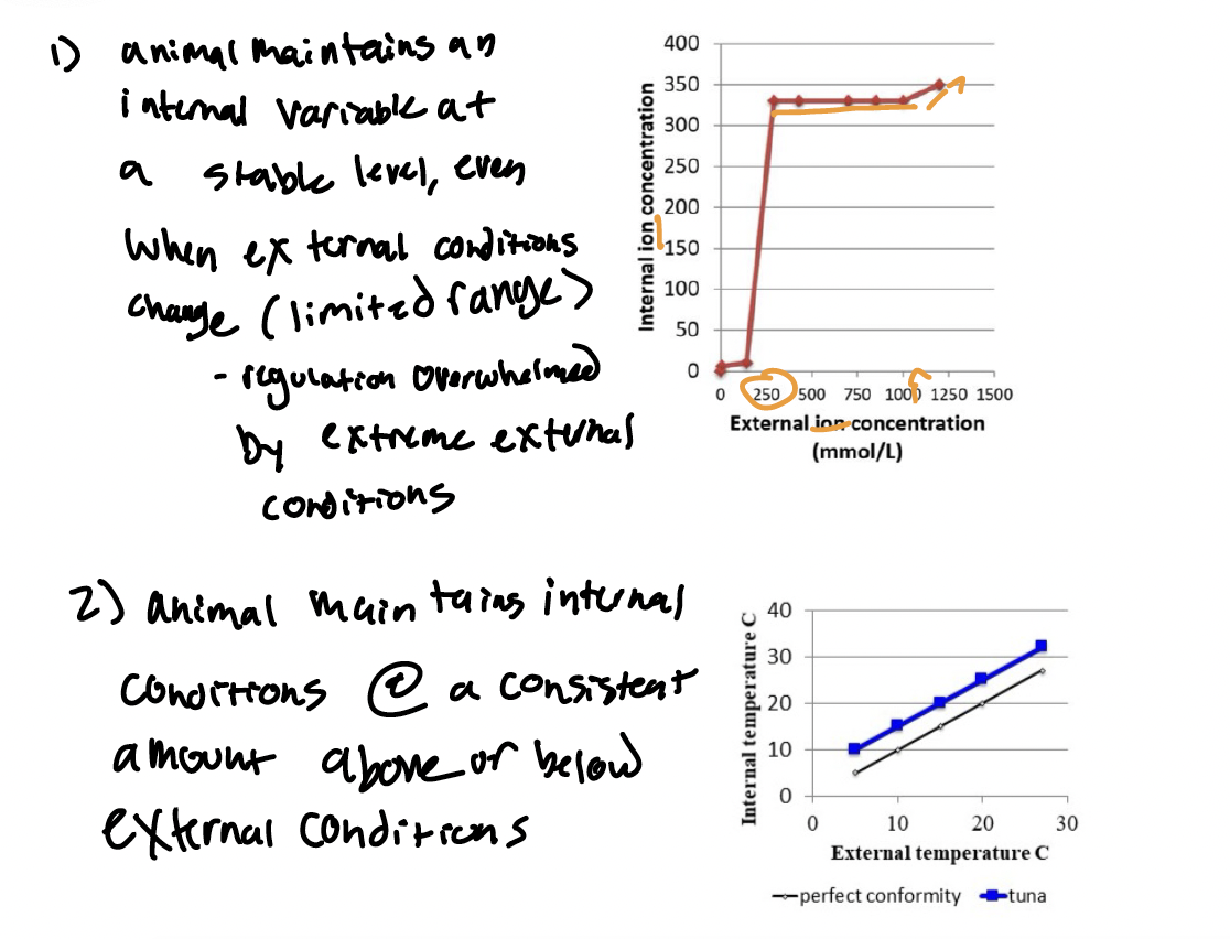 <p>Partial Regulation (Two Types)</p>