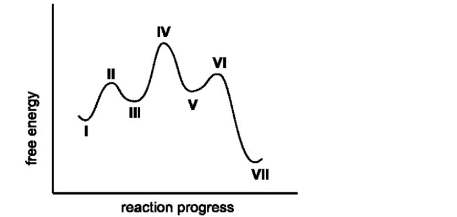 <p>5. Select the TRUE statement regarding the coordinate energy diagram for the reaction 1→ VII.</p>