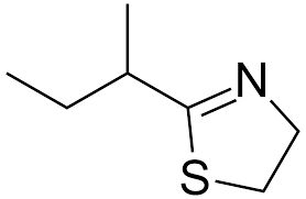 <ul><li><p>2-sec-butyl-4,5-dihydrothiazole is released when mice are stressed or threatened </p></li><li><p>once other mice detect this pheromone they exhibit freezing behaviour </p></li><li><p>this is sensed by the grueneberg ganglion</p></li></ul><p></p>