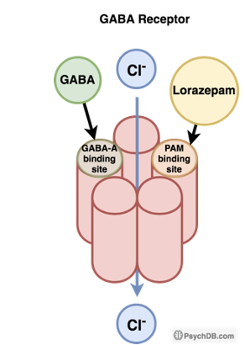 <p>what is the MOA of acute anti anxiety agents</p>