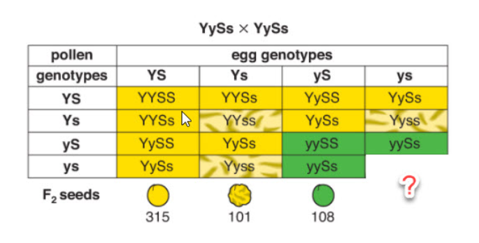 <p>What is missing from the bottom right corner of this figure?</p><p><br></p>