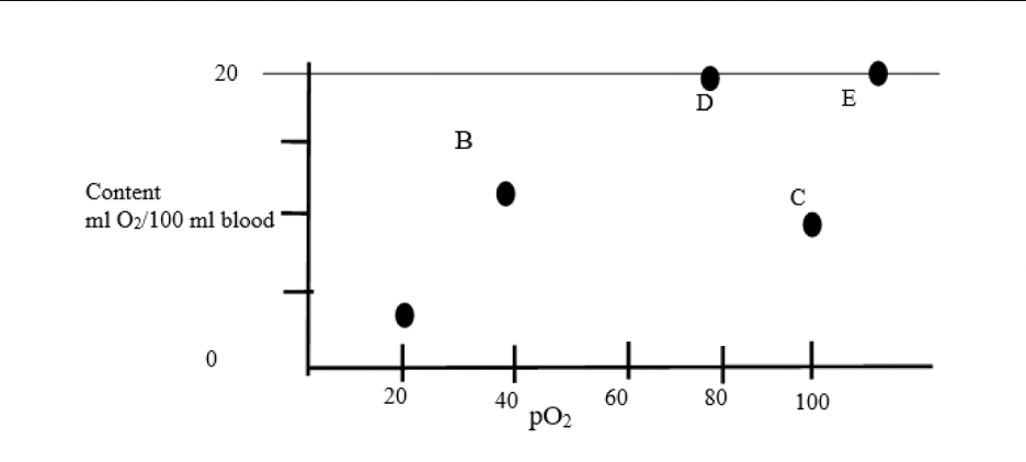<p><span style="font-family: "Times New Roman", serif;"><em><span>MATCHING</span></em></span></p><p class="MsoNormal"><span style="font-family: "Times New Roman", serif;"><em><span>Determine which points describe the following conditions.</span></em></span></p><p class="MsoNormal"><em><span>1. Coronary sinus blood.</span></em></p><p class="MsoNormal"><em><span>2. Arterial blood in a person with end-stage renal disease.</span></em></p><p class="MsoNormal"><em><span>3. Arterial blood in a normal person.</span></em></p><p class="MsoNormal"><em><span>4. Mixed venous blood of person at 500 feet above sea level.</span></em></p>