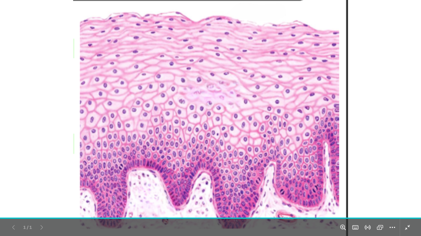 <p>identify </p><p>mention one site </p>