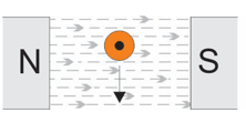 <p>Using right-hand grip rule and fleming’s right hand rule, show how the magnetic field is distorted by the field around the conductor and what force is exerted on the conductor</p>
