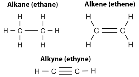 <p>Alkanes: carbon single bonds</p><p>Alkenes: carbon double bonds</p><p>Alkynes: carbon triple bonds</p><p></p>