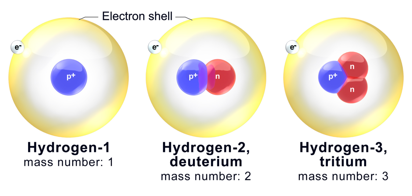<p>An () is an element that differs in the number of neutrons; radioactive isotopes () neutrons, protons, and electrons. </p>