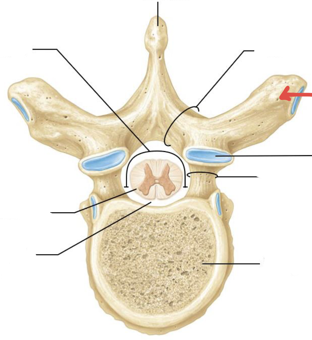 <p>what is this?</p>