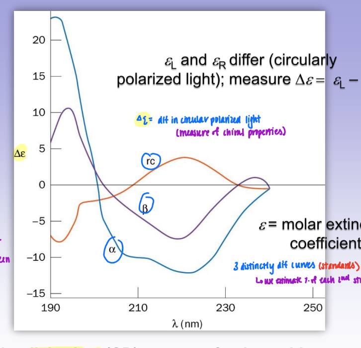 <ul><li><p>delta E = dif in circular polarized light (measure of chiral props exclusively)</p></li><li><p>uses polarized light = can distinguish between random coil, alpha, and beta</p><ul><li><p>3 distinctly dif curves (standards)</p></li><li><p>can use to estimate % of each 2nd struc in protein</p></li></ul></li></ul><p></p>