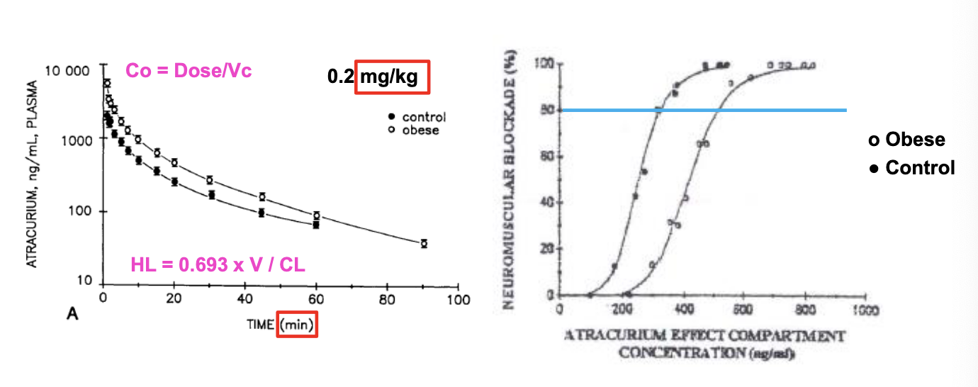 <ul><li><p>obese subjects have higher exposure but as <strong>less sensitive to drug</strong></p><ul><li><p>V<sub>ss</sub> and CL = <strong>decreased</strong> but PK t<sub>1/2</sub> is <strong>unchanged</strong></p></li><li><p>CL decreased → more drug stays in plasma as time goes on but not as sensitive to drug so need higher concentrations to achieve same effect</p></li></ul></li><li><p>NO difference in the time of recovery of neuromuscular blockade, so dosing based on total body weight (TBW)</p></li></ul><p></p>