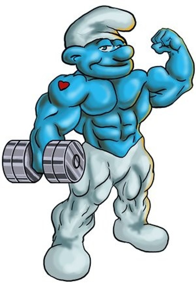 <p>adj. lực lưỡng, khoẻ mạnh</p><p>- nhiều, đáng kể (tiền bạc)</p><p>ex: She carries a hefty bag every day.→ Cô ấy mang một chiếc túi khá nặng mỗi ngày.</p><p>hefty fine (khoản phạt lớn)</p><p>hefty price (giá cao)</p><p>hefty sum (khoản tiền lớn)</p><p>hefty profit (lợi nhuận lớn)</p>