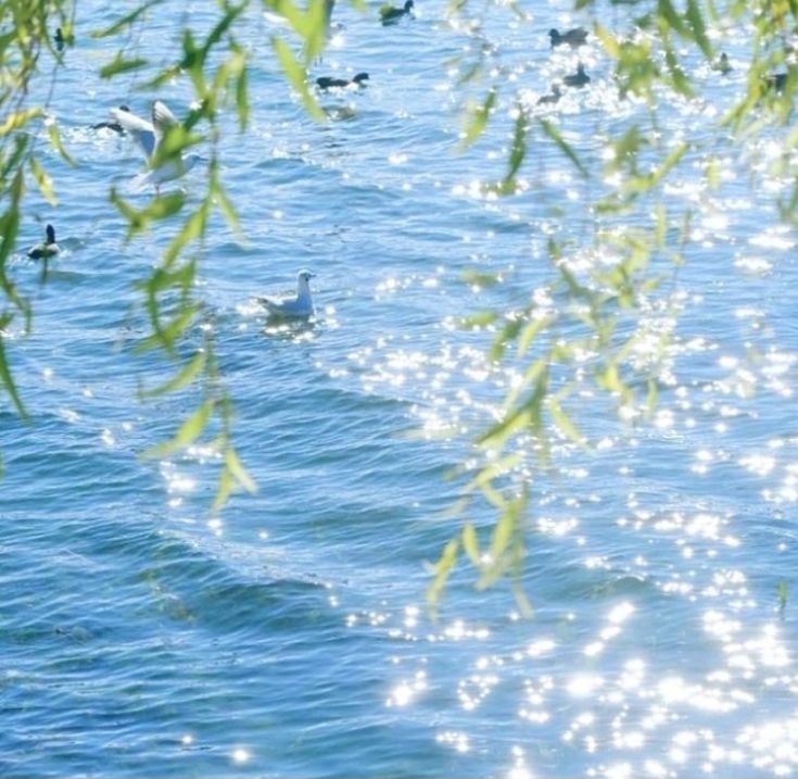 <p>cần thiết</p>