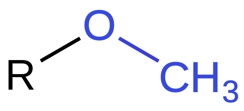 HYDROPHOBIC side group, least reactive of the side groups
