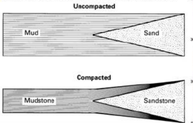 <p>sand and clay compact differently leading to complex outcrop patterns. </p>