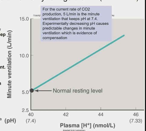 \- respiratory compensation for high \[H+\] so plasma \[H+\] is x and ventilation is y

\- VCO2 constant

\- as plasma \[H+\] increases, minute ventilation increases to compensate (not the other way around)