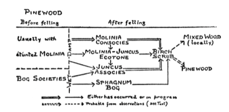 <p>He emphasized that the only way to predict the trajectory of succession was to understand the biological and environmental context in which it occurred</p>