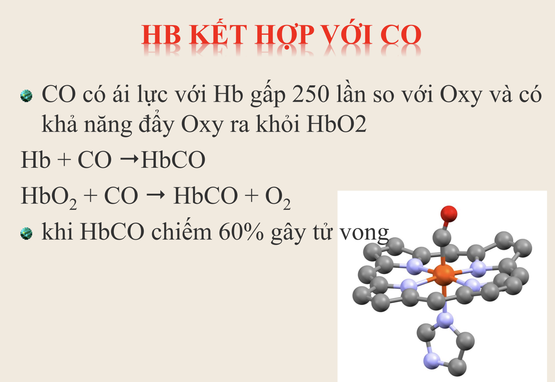 <p><strong>Phản ứng nào dưới đây mô tả đúng sự thay thế oxy bởi CO trong hemoglobin?</strong></p><p>A. Hb + CO₂ → HbCO₂</p><p>B. Hb + O₂ → HbO₂ + CO</p><p>C. HbO₂ + CO → HbCO + O₂</p><p>D. Hb + CO → HbCO₂ + H⁺</p>
