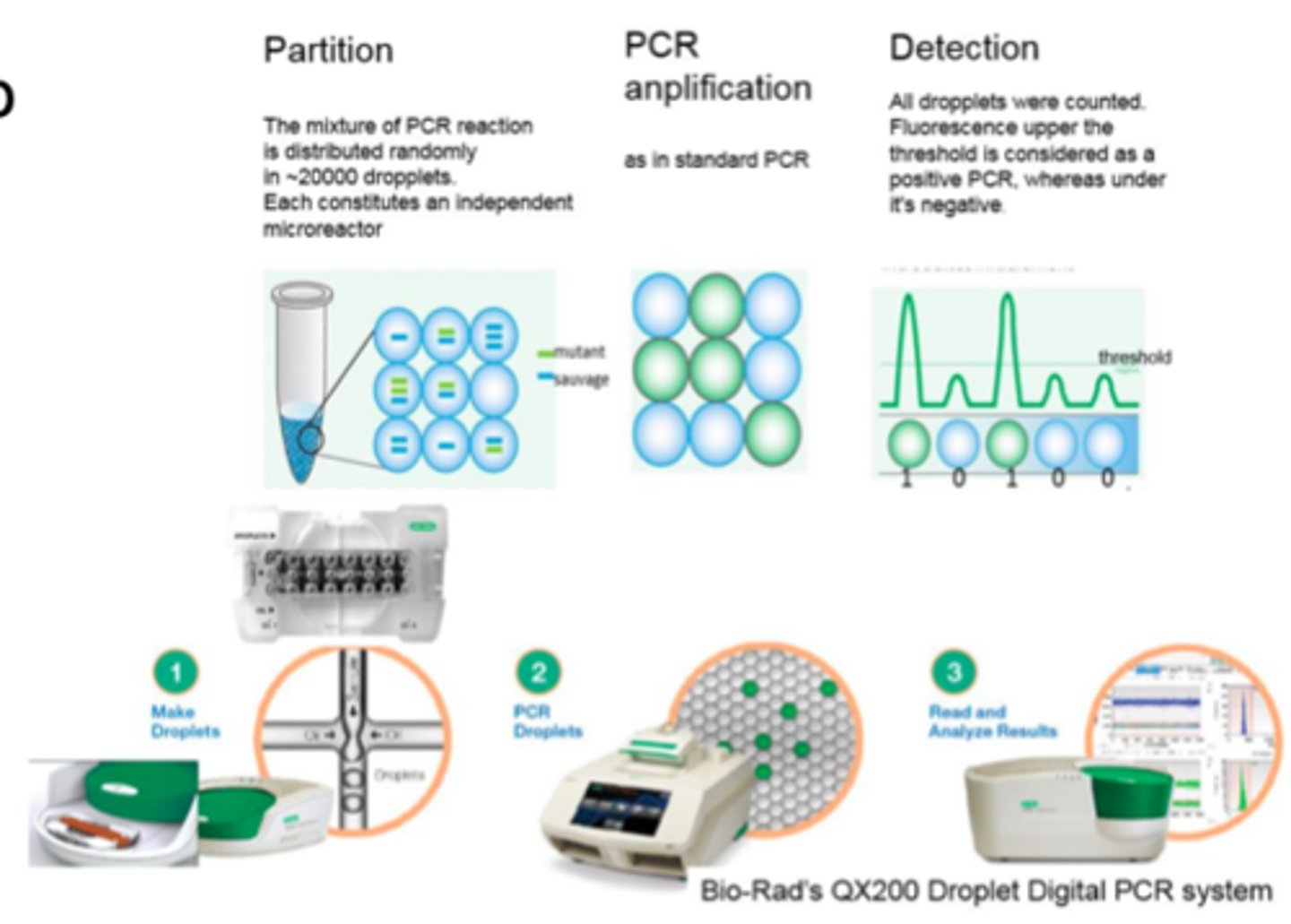 <p>Droplet Digital PCR (ddPCR) partitions the sample into thousands of oil droplets where PCR occurs in each droplet, allowing for absolute quantification of viral copy number.</p>