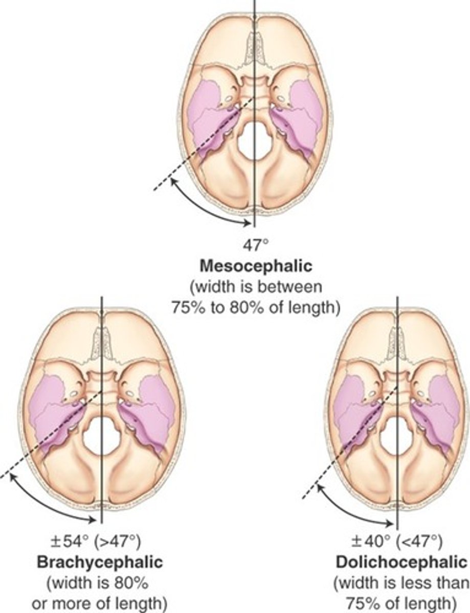 <p>B) less</p><p>pg. 405: The positioning descriptions, including CR angles and head rotations, as described in this text are based on the average-shaped mesocephalic skull. </p><p>For example, the axiolateral oblique projection (Law method) for TMJs requires 15° of head rotation. A long, narrow, dolichocephalic head requires slightly more than 15° of rotation, and a short, broad, brachycephalic type requires less than 15°.</p>