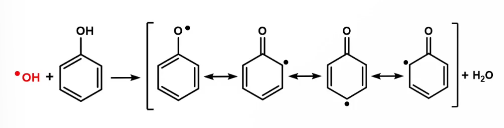 <ul><li><p>Radical scavengers react with “free” radicals to form more stable, less reactive radicals</p></li><li><p>More resonance = better stabilized</p></li></ul><p></p>