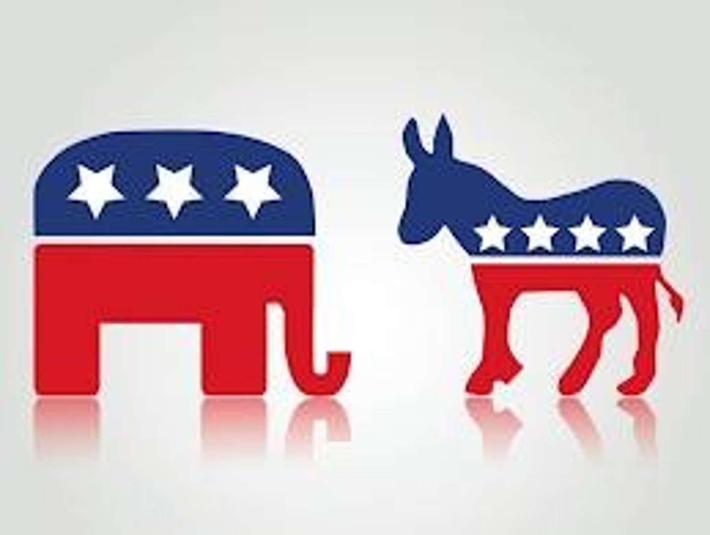 <p>political party</p>