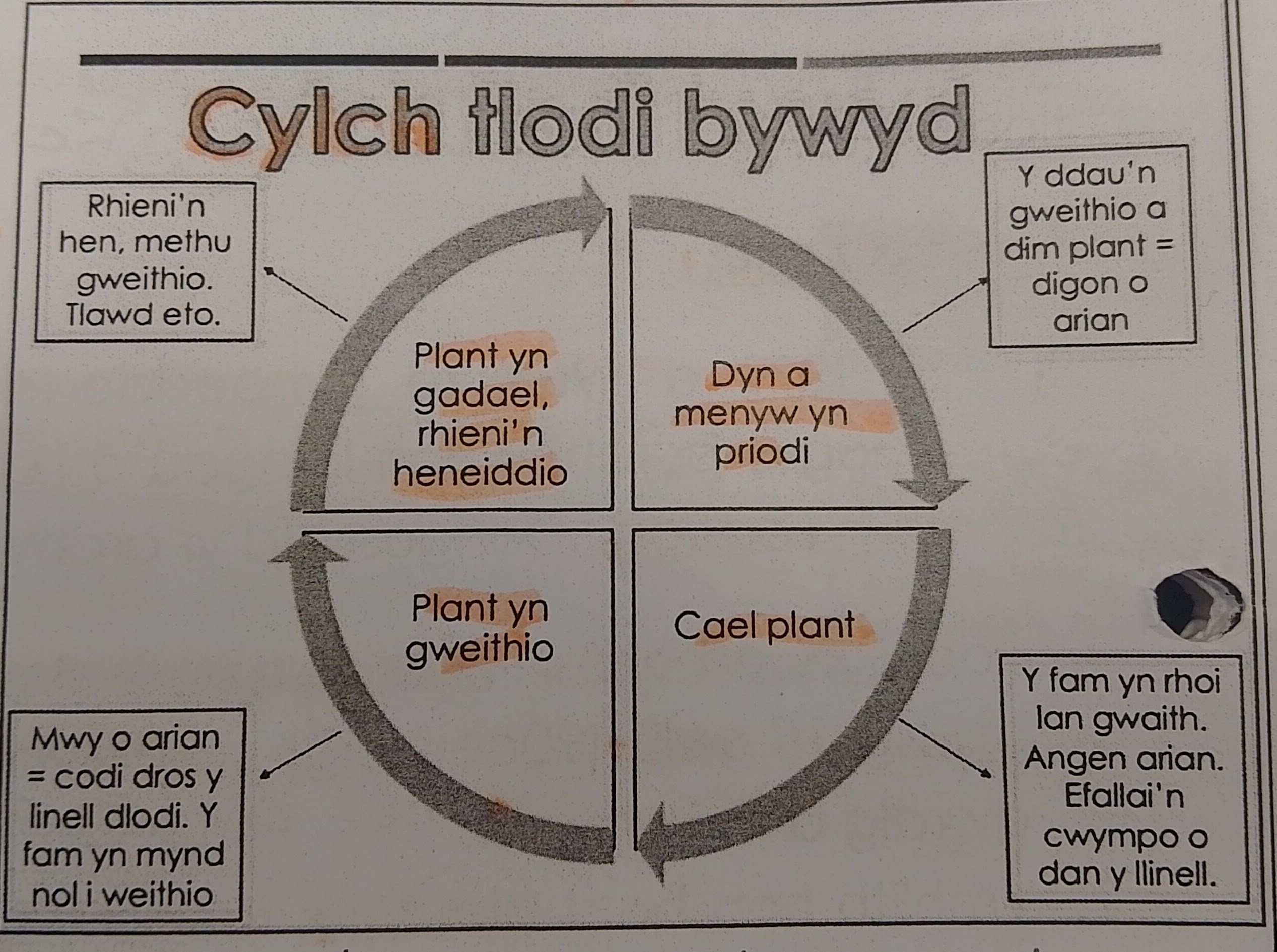 Cylch Tlodi Bywyd Rowntree