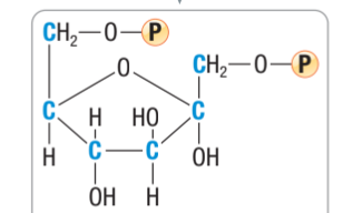 <p>What molecule is this?</p>