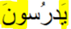 <p>Yadrusoona</p>