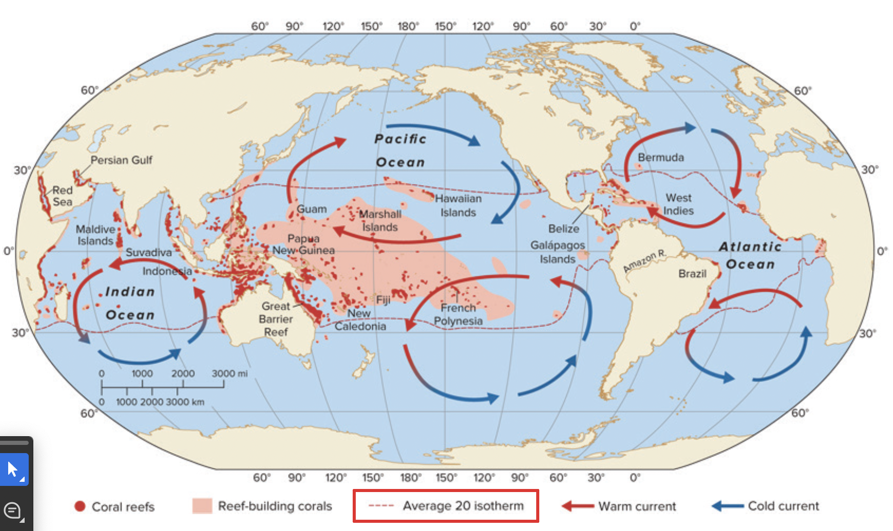 <p><span>Coral reefs are found where the average water temperature is > 20° C</span></p><p><span>not just latitude, but looking at where the western boundary curves are bringing in warmer water</span></p><p></p><p><span>not a lot of corals on the western side of south america because there is upwelling cold water that is cold enough that the corals do not like to live there. also the amazon river brings in a lot of sediments, making the water near the shore more turbid</span></p>